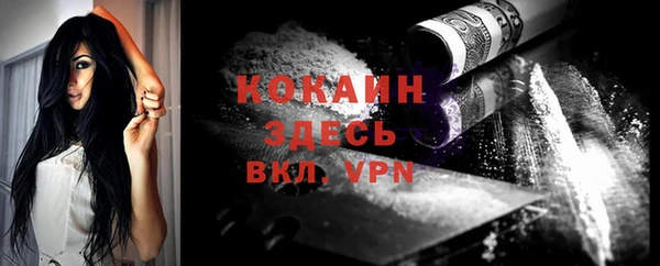 apvp Козельск
