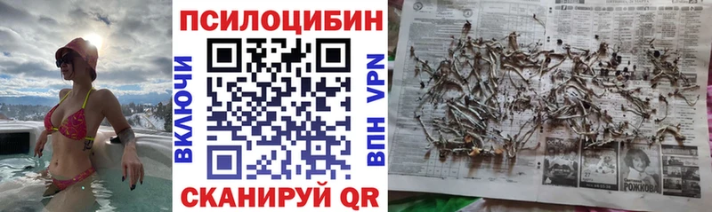 Псилоцибиновые грибы мицелий  Саранск 