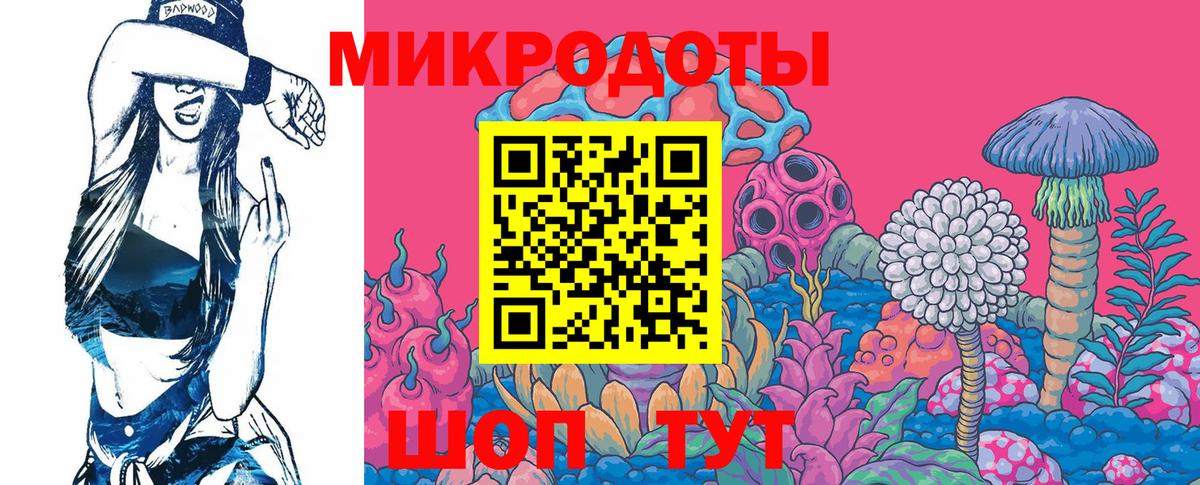 Галлюциногенные грибы Cubensis Саранск